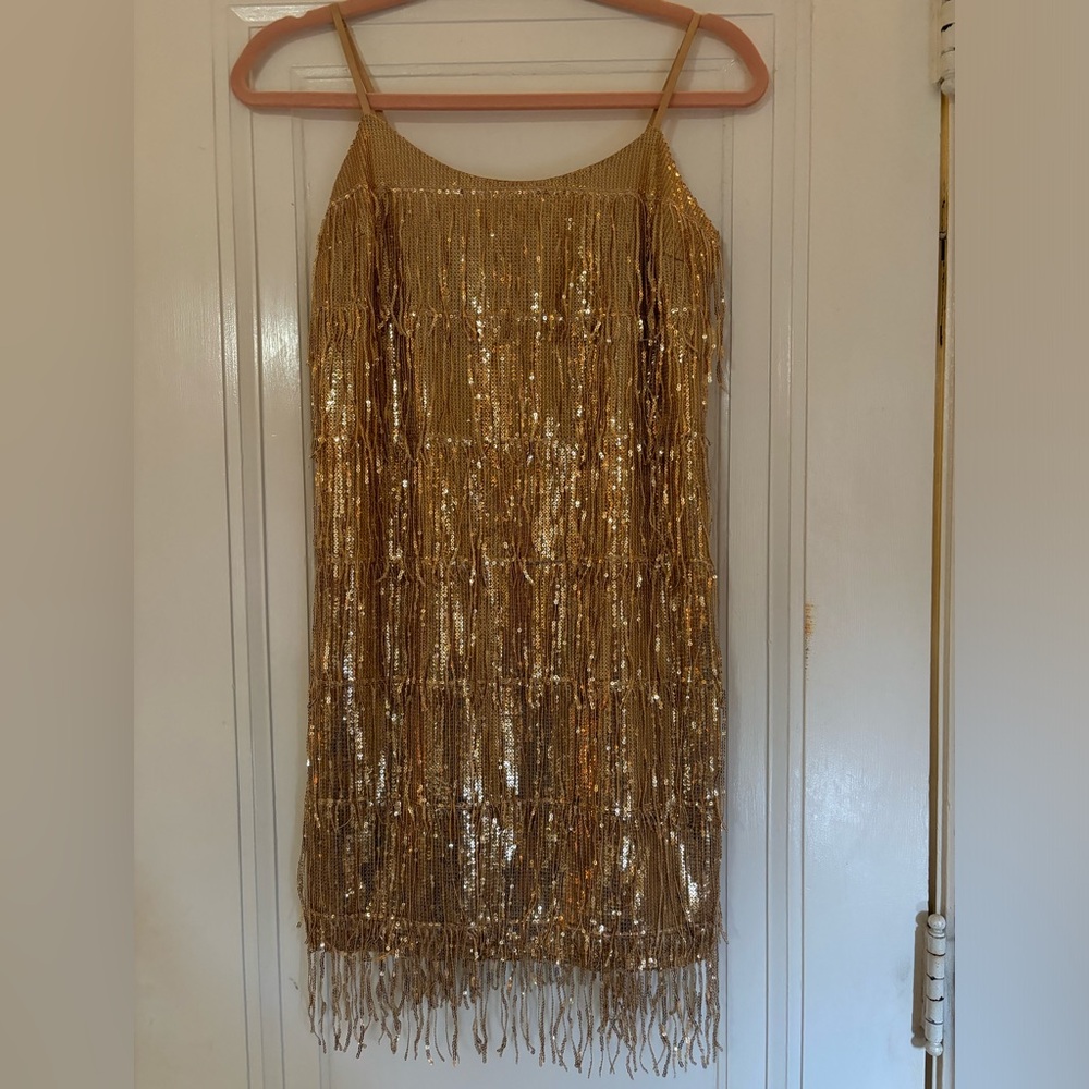 Dry Goods Sequin Flapper Dress